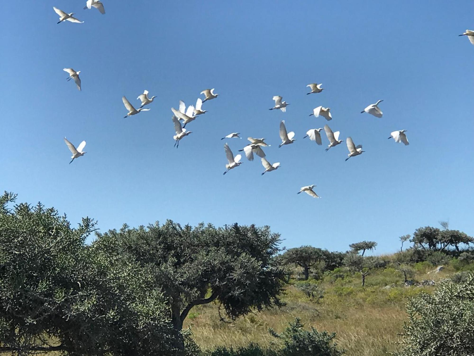 Manga Lodge Andavadoaka Dış mekan fotoğraf